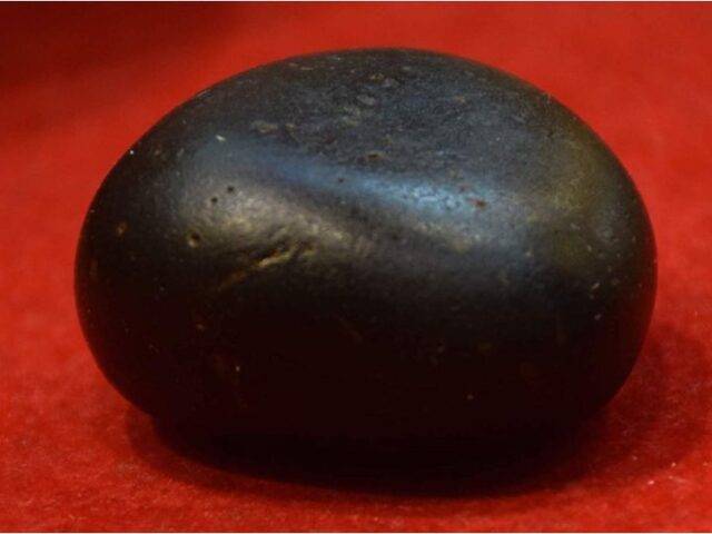 श्रीशालीग्रामजी के पूजन अर्चन का लाभ