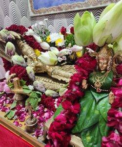 पुरुषोत्तम मास भक्ति अनुष्ठान – दिव्य दर्शन एवं श्री गुरुदेव का सत्संग